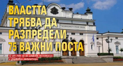 Властта трябва да разпредели 75 важни поста