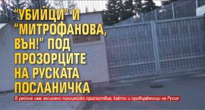 "Убийци" и "Митрофанова, вън!" под прозорците на руската посланичка