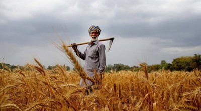 Износът на пшеница от Индия се е увеличил до 1 4