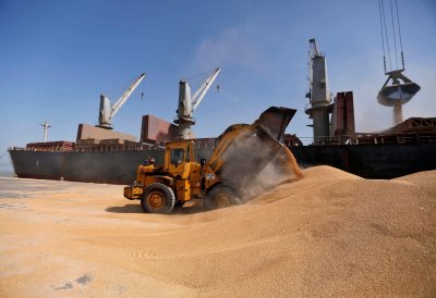 Стотици хиляди тонове пшеница бяха блокирани днес на голямо индийско