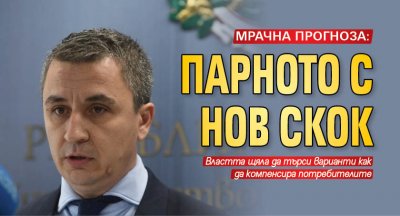 Енергийният министър Александър Николов прогнозира поскъпване на парното с няколко
