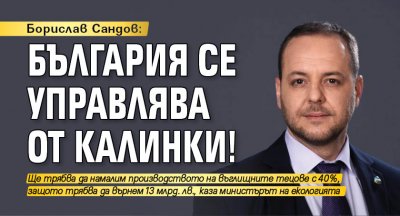 Борислав Сандов: България се управлява от калинки!