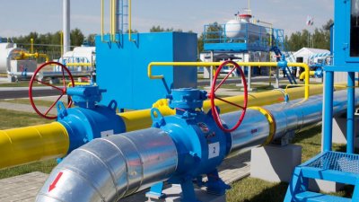 Украинската енергийна компания Нафтогаз призова днес Германия да спре доставките