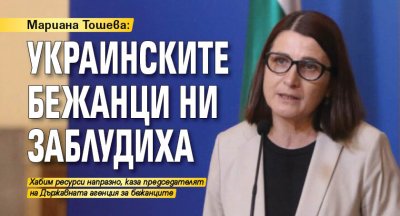 Мариана Тошева: Украинските бежанци ни заблудиха