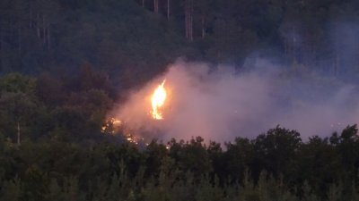 Овладян е пожарът в Хасковско