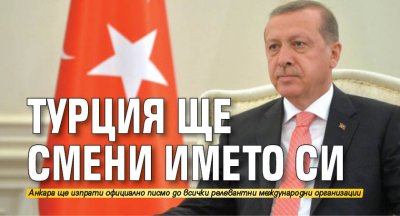 Турция официално поиска от ООН и други международни организации да