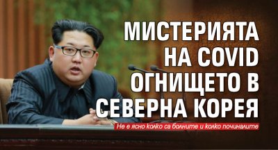 Мистерията на COVID огнището в Северна Корея