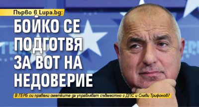 Първо в Lupa.bg: Бойко се подготвя за вот на недоверие