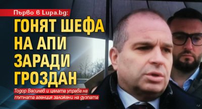 Първо в Lupa.bg: Гонят шефа на АПИ заради Гроздан