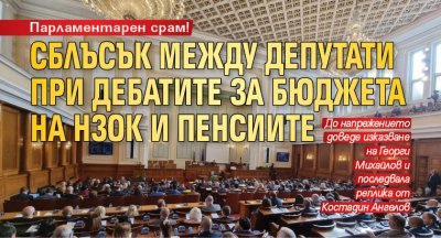 Парламентарен срам! Сблъсък между депутати при дебатите за бюджета на НЗОК и пенсиите