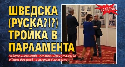 НА КАЛЪП: Шведска (руска?!?) тройка в парламента