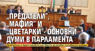 "Предатели", "мафия" и "цветарки"- основни думи в парламента