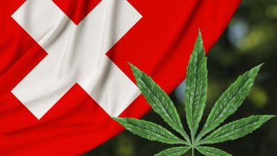 Швейцария легализира употребата на канабис за медицински цели