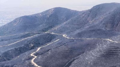 В огромна екологична катастрофа се превръща големият пожар който бушува
