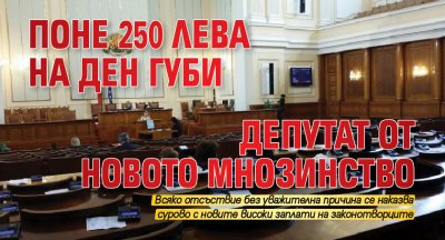 Минимум по 250 лева губи всеки депутат от новото мнозинство