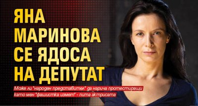 Яна Маринова се ядоса на депутат