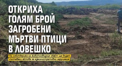 Откриха голям брой загробени мъртви птици в Ловешко