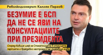 Революционерът Калоян Паргов: Безумие е БСП да не се яви на консултациите при президента