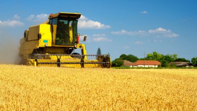 Украйна: Русия е изнесла най-малко 400 000 тона зърно от окупирани територии