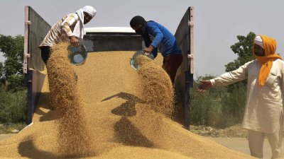 Цената на пшеницата падна до четиримесечно дъно