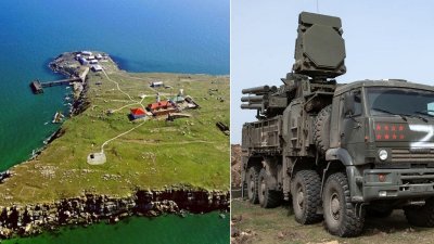 Руските въоръжени сили са се изтеглили от Змийския остров
