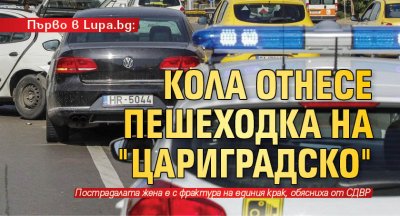Пешеходка е пометена на Цариградско шосе в София съобщиха пред