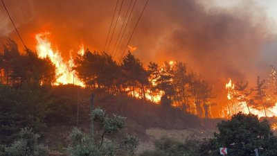 Огромен горски пожар се разрази днес в северозападния турски окръг