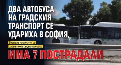 Два автобуса на градския транспорт се удариха в София, има 7 пострадали (СНИМКИ)