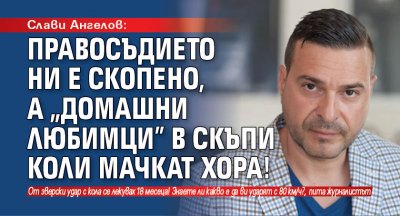 Слави Ангелов: Правосъдието ни е скопено, а "домашни любимци" в скъпи коли мачкат хора!