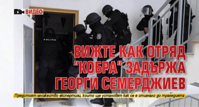 Вижте как отряд "Кобра" задържа Георги Семерджиев (ВИДЕО)