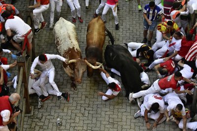 Шестима ранени от бикове на фестивала в Памплона
