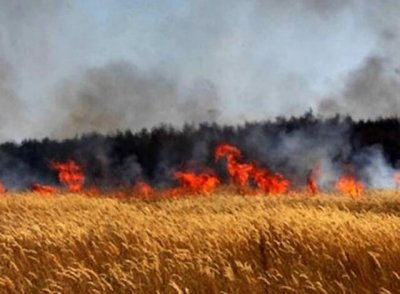 54 годишен косач от с Драгижево е загинал при пожар в