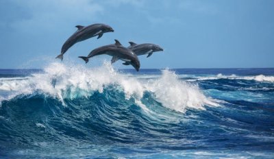 Европейската комисия представи днес данни за наказателните процедури които води