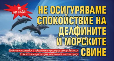 ЕК ни съди: Не осигуряваме спокойствие на делфините и морските свине