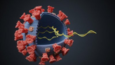 „Блага“ вест: Новите Covid мутации прескачат ваксините