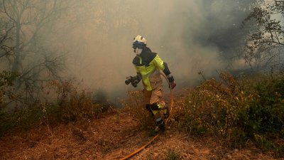 Най високо ниво на тревога за горски пожари беше обявено в някои