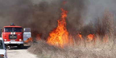 Пожарът в Калояновско е овладян