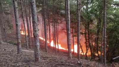 Пожарът който две денонощия бушуваше край пазарджишките села Лесичово и