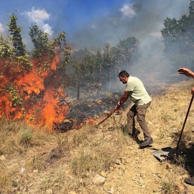Голям пожар захапа Сливенско