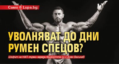 Само в Lupa.bg: Уволняват до дни Румен Спецов?