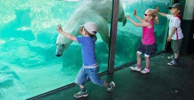 Най старият зоопарк в света виенският Шьонбрун празнува тази година своя