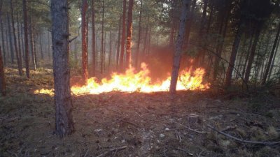 Пожар който е предизвикан от гръмотевица гори в труднодостъпна местност