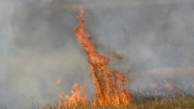 Усложнена е пожарната обстановка в област Добрич като от началото
