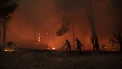 Стотици пожарникари се бориха с пожара бушуващ в португалска община
