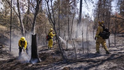 Нов голям пожар избухна в Калифорния Вече бяха издадени първите заповеди