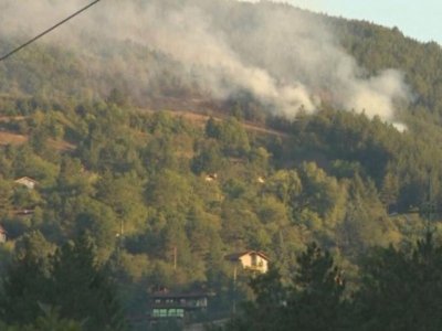 Хванаха подпалвача на гората над Реброво 