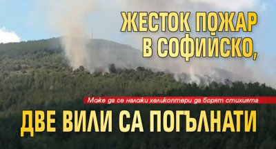 Жесток пожар в Софийско, две вили са погълнати