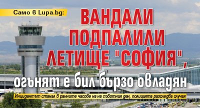 Само в Lupa.bg: Вандали подпалили летище "София", огънят е бил бързо овладян