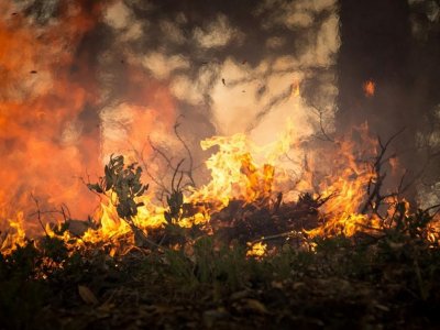 Пожар бушува близо до двореца в Кричим