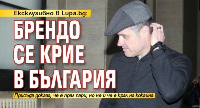 Ексклузивно в Lupa.bg: Брендо се крие в България